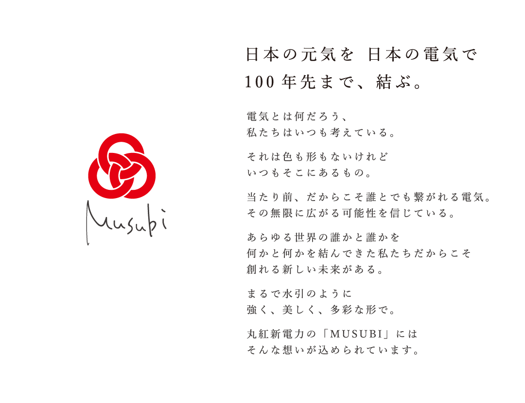 日本の元気を 日本の電気で100年先まで、結ぶ。